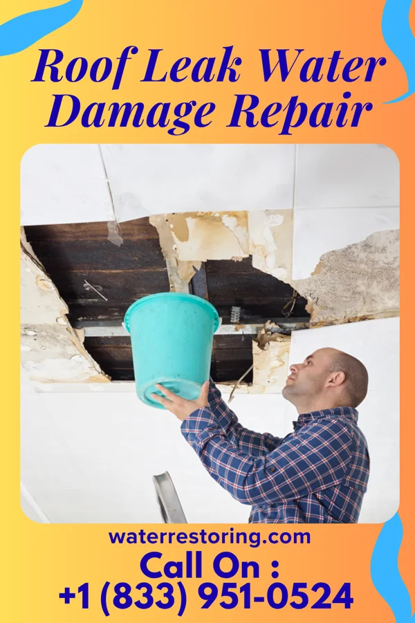Roof Leak Water Damage Repair in Tigerton, WI