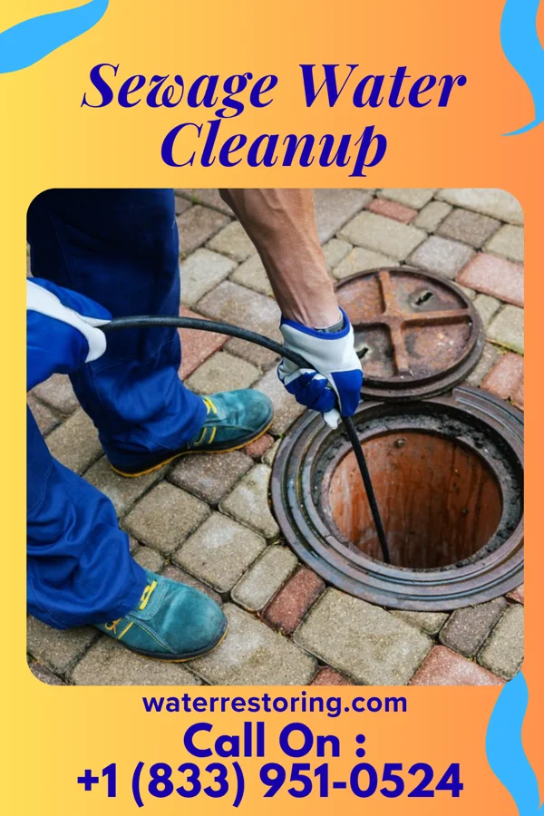 Sewage Water Cleanup in Tigerton, WI