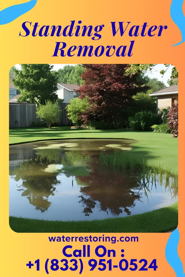 Standing Water Removal in Tigerton, WI